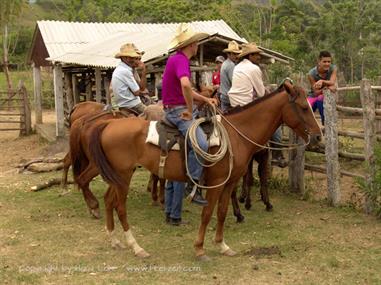 2004 Cuba, Cayo Ensenachos - Trinidad, DSC00910 B_B720